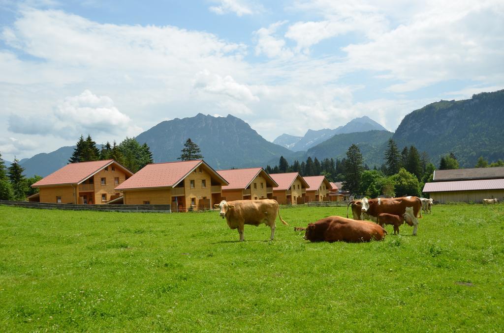 Feriendorf Am Hahnenkamm 로이테 외부 사진